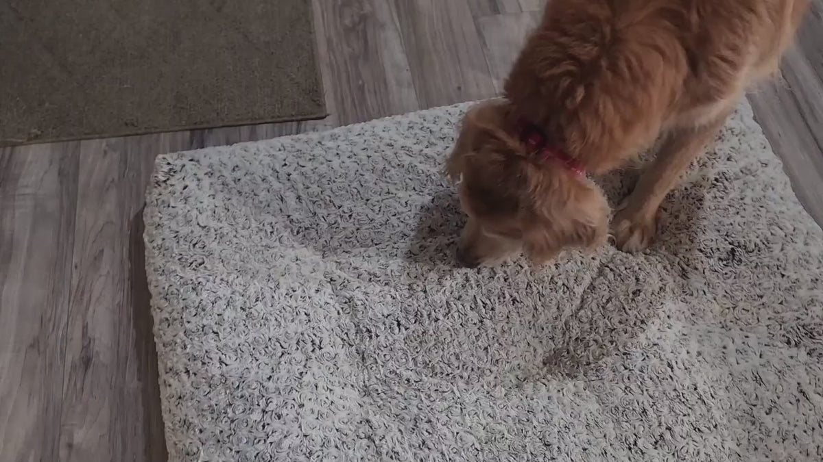 Soft Fluffy Swirl Rose Velvet Dog Cushion for Crates & Floors