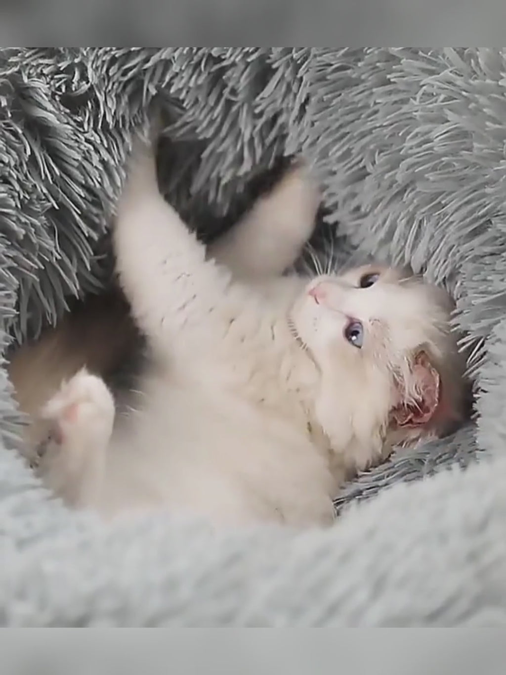 Ultra-Fluffy Calming Donut Dog & Cat Bed for Deep Sleep